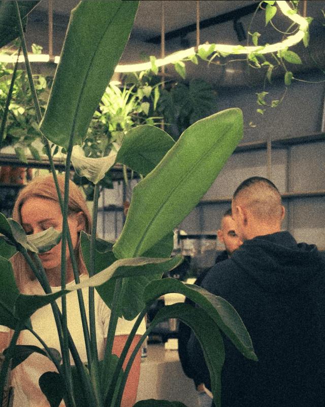 right leaf